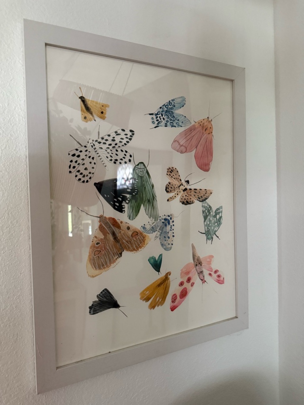 Minted Watercolor Moth & Butterfly Art Print - Multicolor with White Frame 16x20